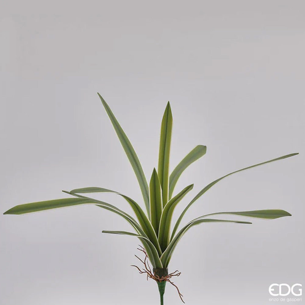 PIANTA ARTIFICIALE FALANGIO REAL H51CM 12 FOGLIE