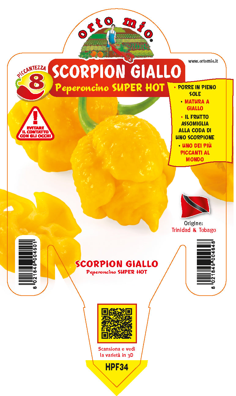 PIANTA DI PEPERONCINO TRINIDAD SCORPION G. (IN VASO Ø 14CM)