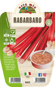 RABARBARO IN VASO 14CM