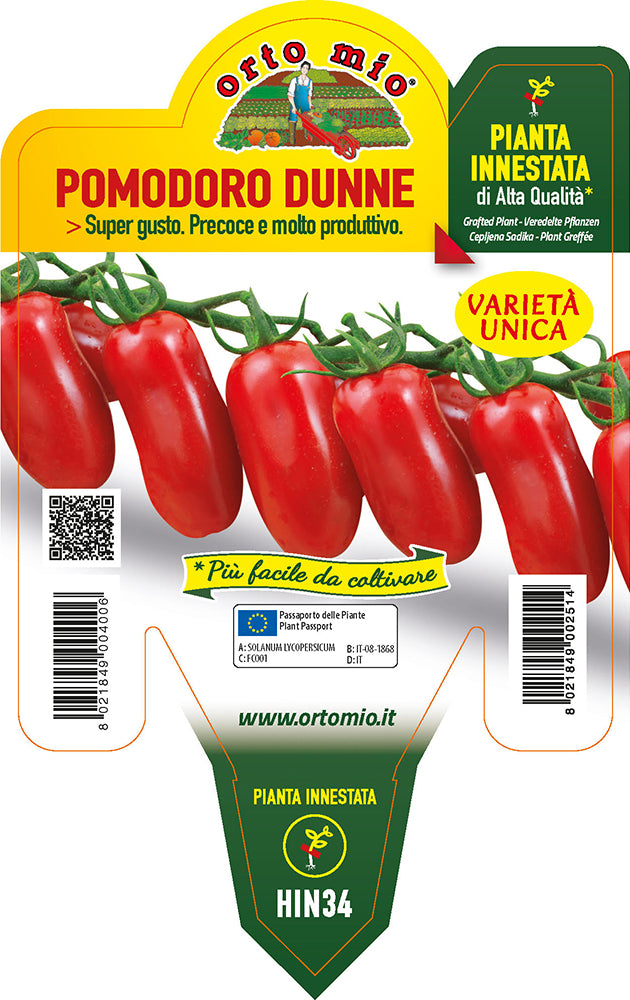PIANTA DI POMODORO MINI PERINO INNESTATO (IN VASO Ø14CM)