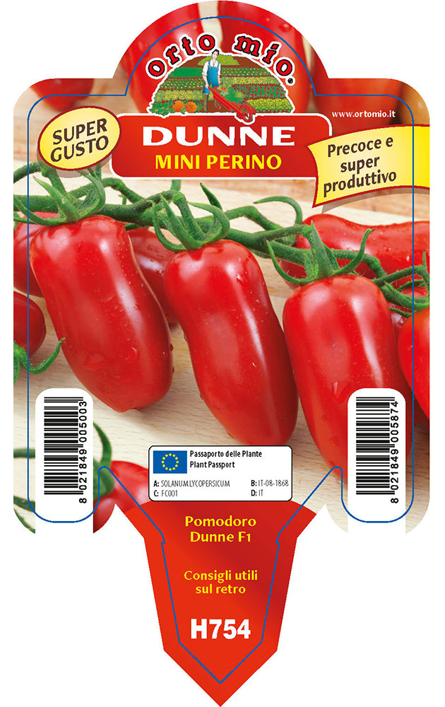 3 PIANTE IN VASO Ø10CM DI POMODORO SPECIALITÀ MINI PERINO DUNNE