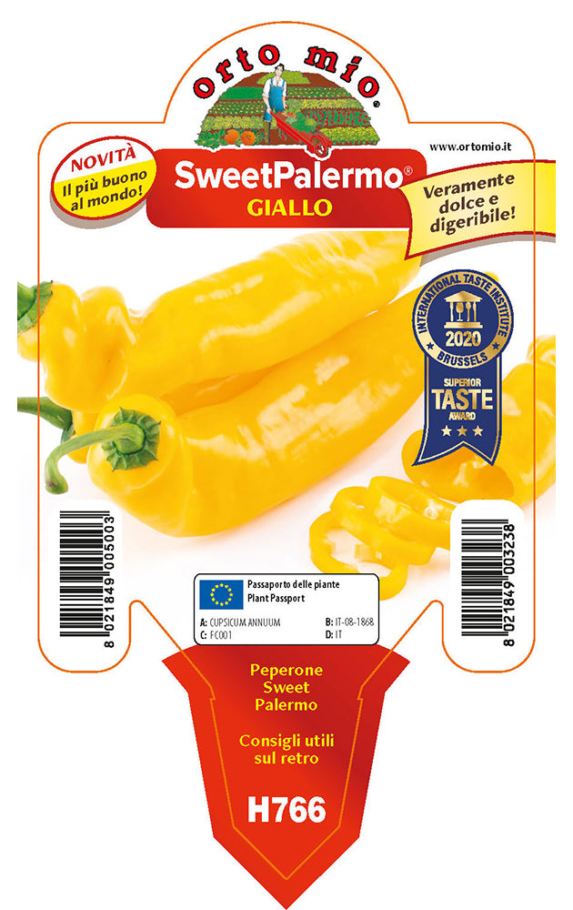 3 PIANTE DI PEPERONCINO SWEET PALERMO GIALLO (IN VASO Ø 10CM)