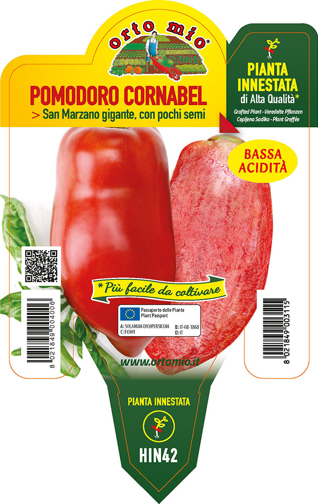 PIANTA DI POMODORO CORNO DELLE ANDE INNESTATO (IN VASO Ø14CM)