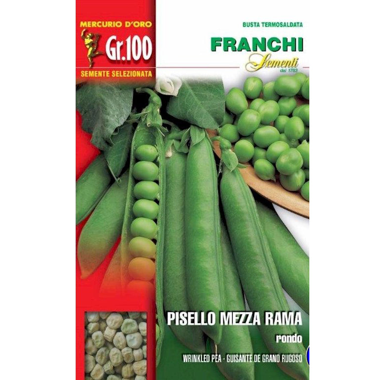 SEMI PISELLO MEZZA-RAMA RONDO GR.100