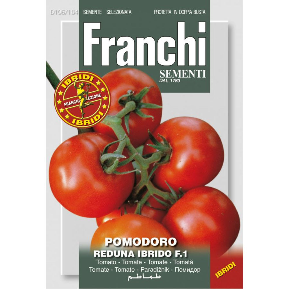 SEMI DI POMODORO REDUNA IBRIDO F.1