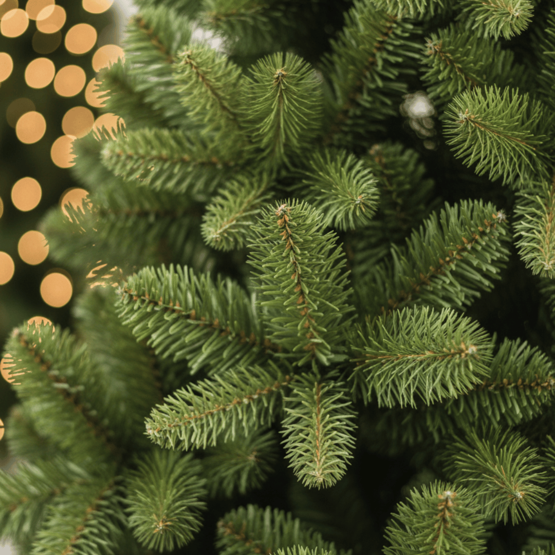 ALBERO DI NATALE COLOSSEO 270CM VERDE