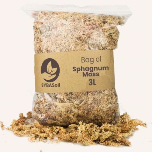 MUSCHIO DI SFAGNO PER ORCHIDEE 3L SYBOTANICA