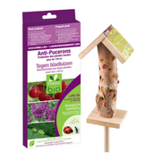 OFFERTA COCCINELLE ANTI AFIDI PER ALBERI DA FRUTTA+CASETTA PER COCCINELLE IN LEGNO