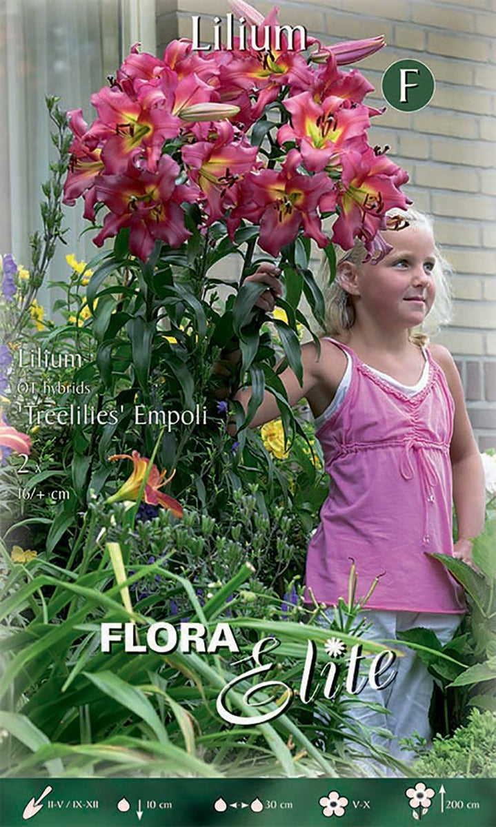 LILIUM GIGANTE EMPOLI (CONFEZIONE DA 2 BULBI)