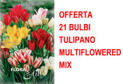 OFFERTA 21 BULBI TULIPANO MULTIFLOWERED MIX