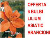 OFFERTA 6 BULBI LILIUM ASIATIC ARANCIONE