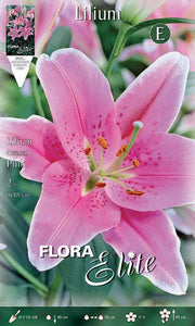 LILIUM ORIENTAL PINK (CONFEZIONE DA 2 BULBI)