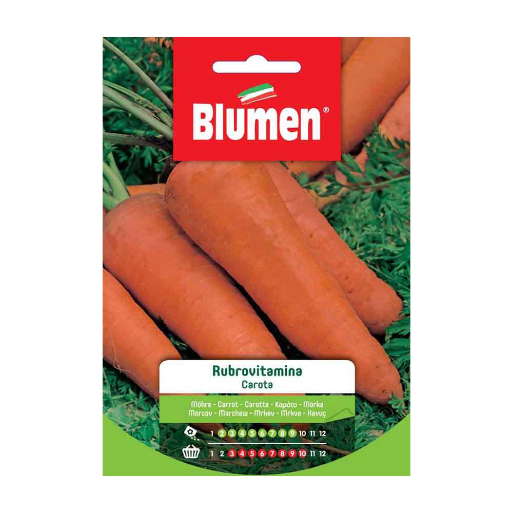 SEMI CAROTA RUBROVITAMINA BLUMEN