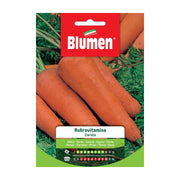 SEMI CAROTA RUBROVITAMINA BLUMEN