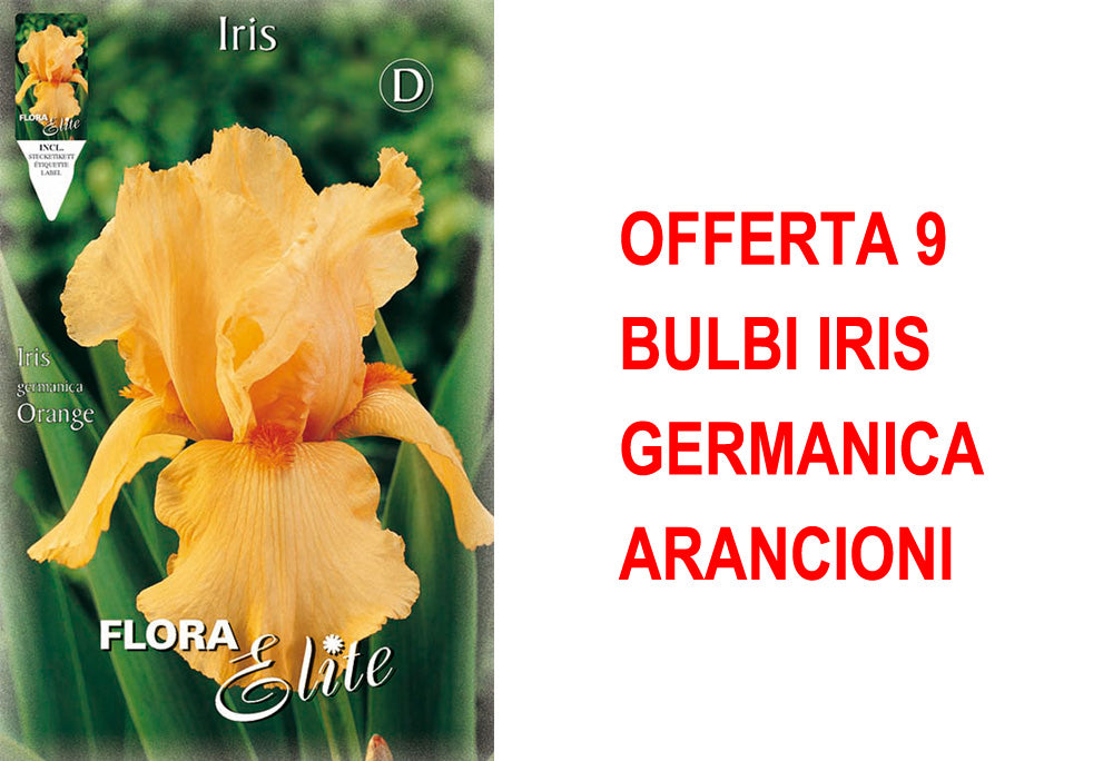 OFFERTA 9 BULBI IRIS GERMANICA ARANCIONI
