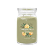 CANDELA GRANDE SIGNATURE SAGE & CITRUS