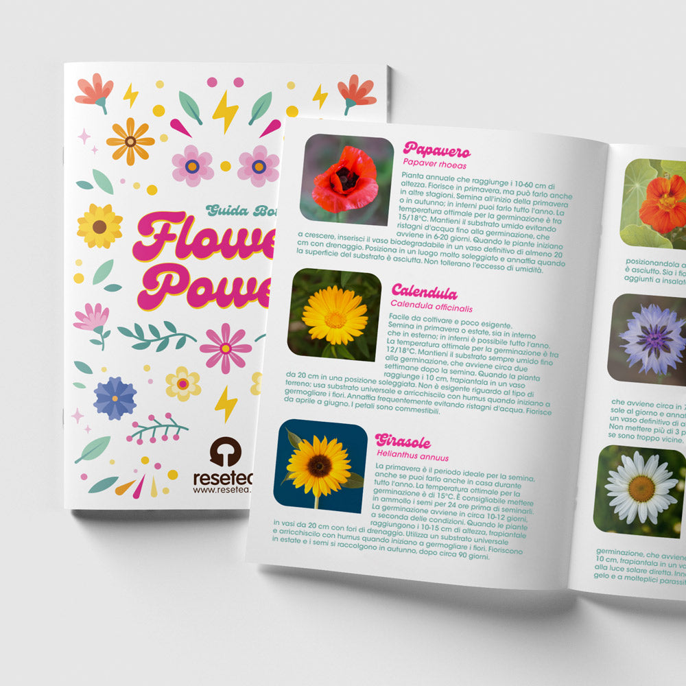 SET FLOWER POWER