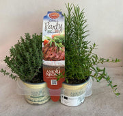MIX 4 PIANTE AROMATICHE GRILL PARTY VASO 9CM