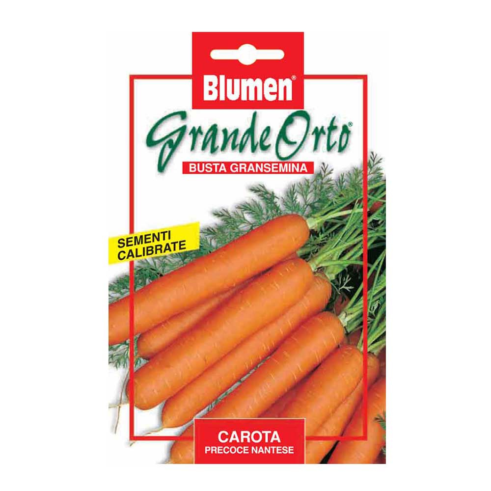 SEMI CAROTA PRECOCE NANTESE MAXI ORTO BLUMEN