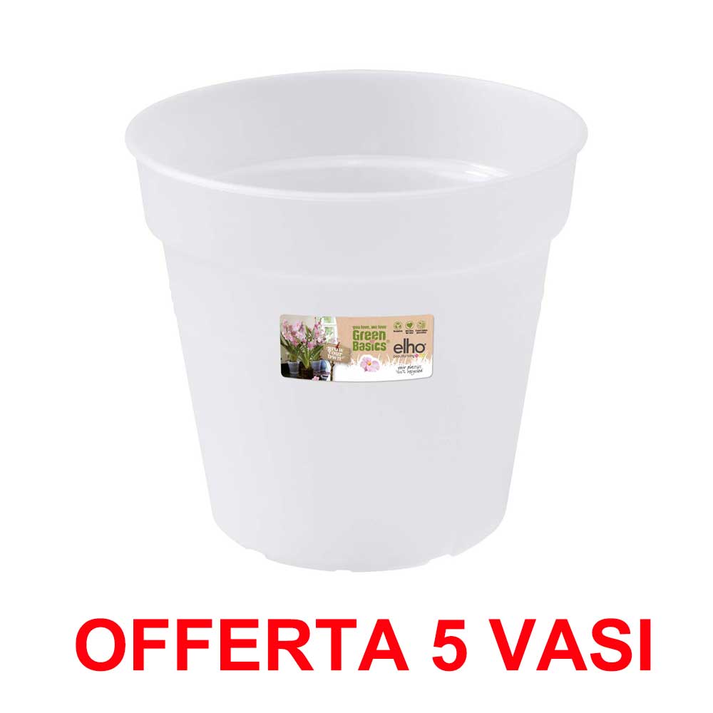 OFFERTA 5 VASO ORCHIDEE GREEN BASICS ORCHID 13CM TRANSPARENT