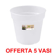OFFERTA 5 VASO ORCHIDEE GREEN BASICS ORCHID 15CM TRASPARENTE