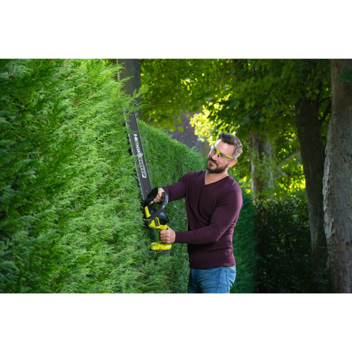 TAGLIASIEPI A BATTERIA 18V (1X 2.0AH) LAMA 55CM