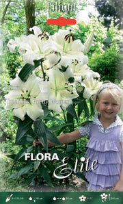 LILIUM PRETTY WOMAN (CONFEZIONE DA 2 BULBI)