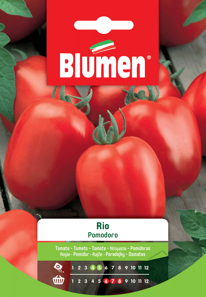 SEMI DI POMODORO RIO NANO