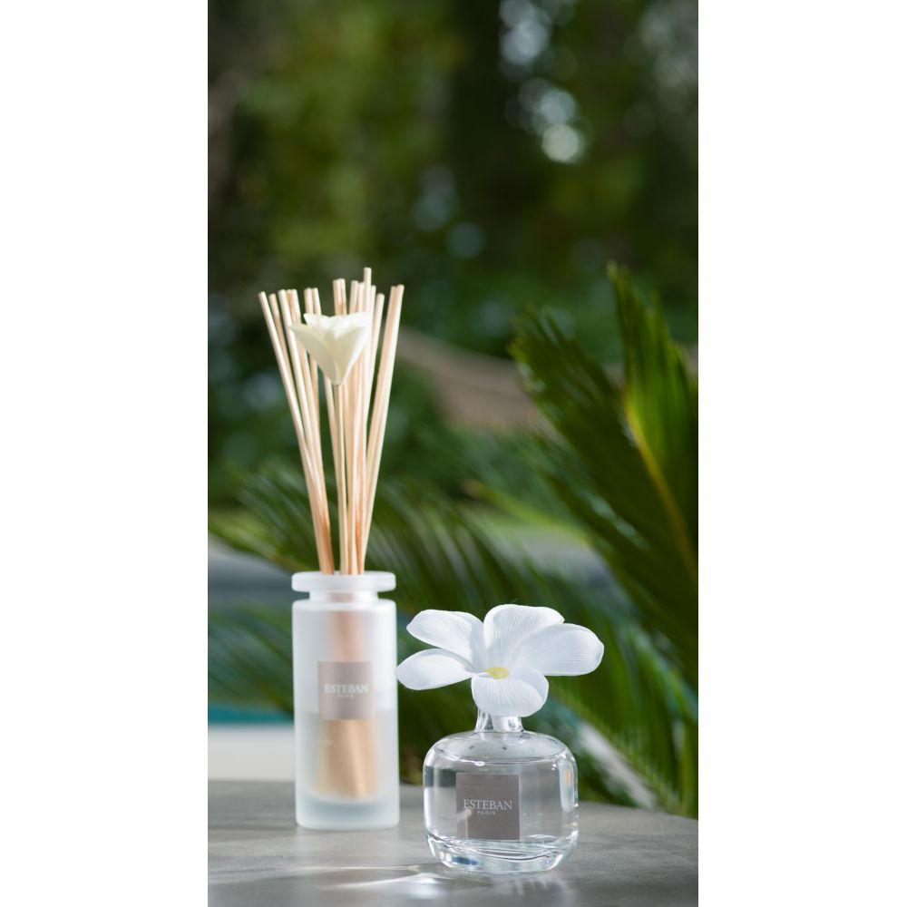 RICARICA 300ML DIFFUSORE FIORE PROFUMATO POMELO BASILIC