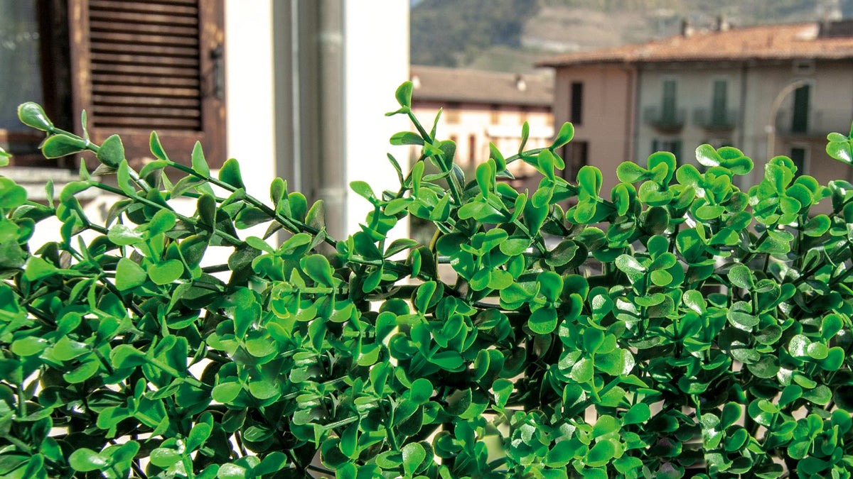 SIEPE SINTETICA DIVY 3D PANEL BUXUS INTENSE 0.5X1 M