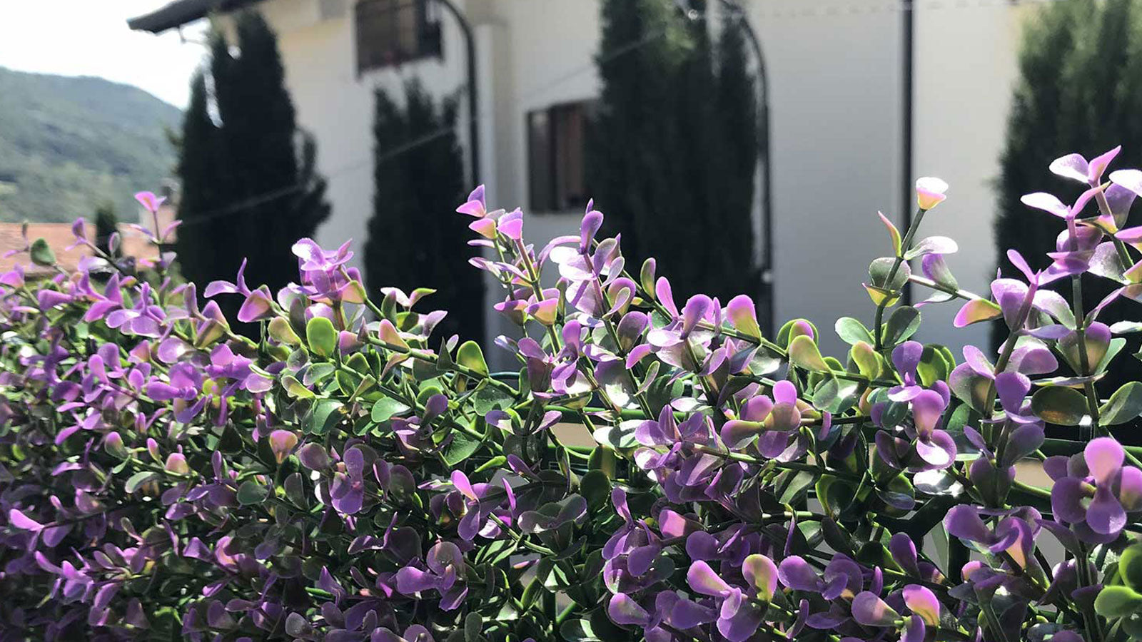 SIEPE SINTETICA DIVY 3D PANEL BUXUS LILAC 0.5X1 M