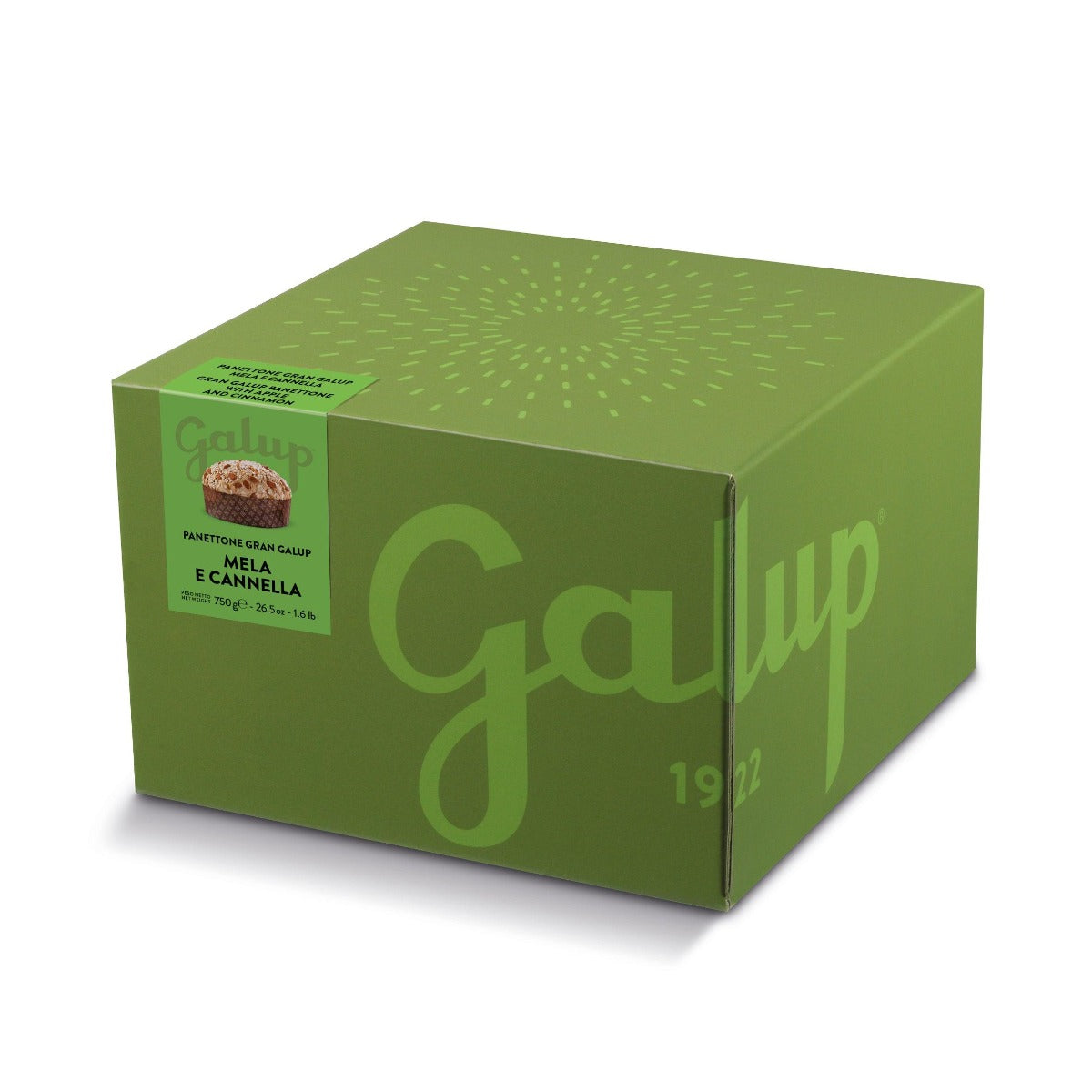 PANETTONE GRAN GALUP MELA E CANNELLA 750G