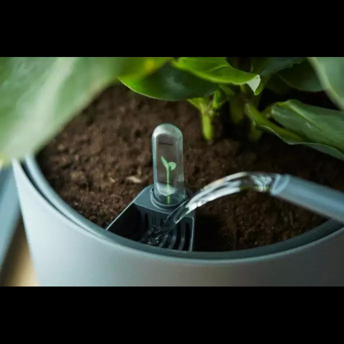 SISTEMA DI AUTOIRRIGAZIONE SELF-WATERING INSERT 43CM LIVING BLACK