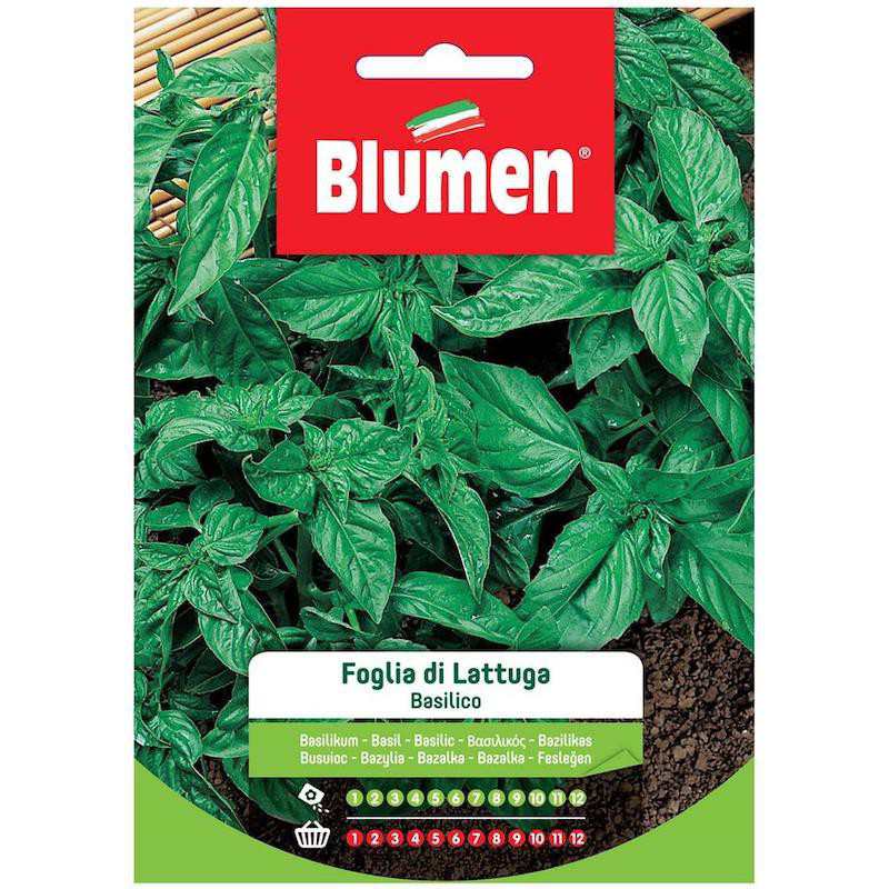 SEMI BASILICO FOGLIA LATTUGA