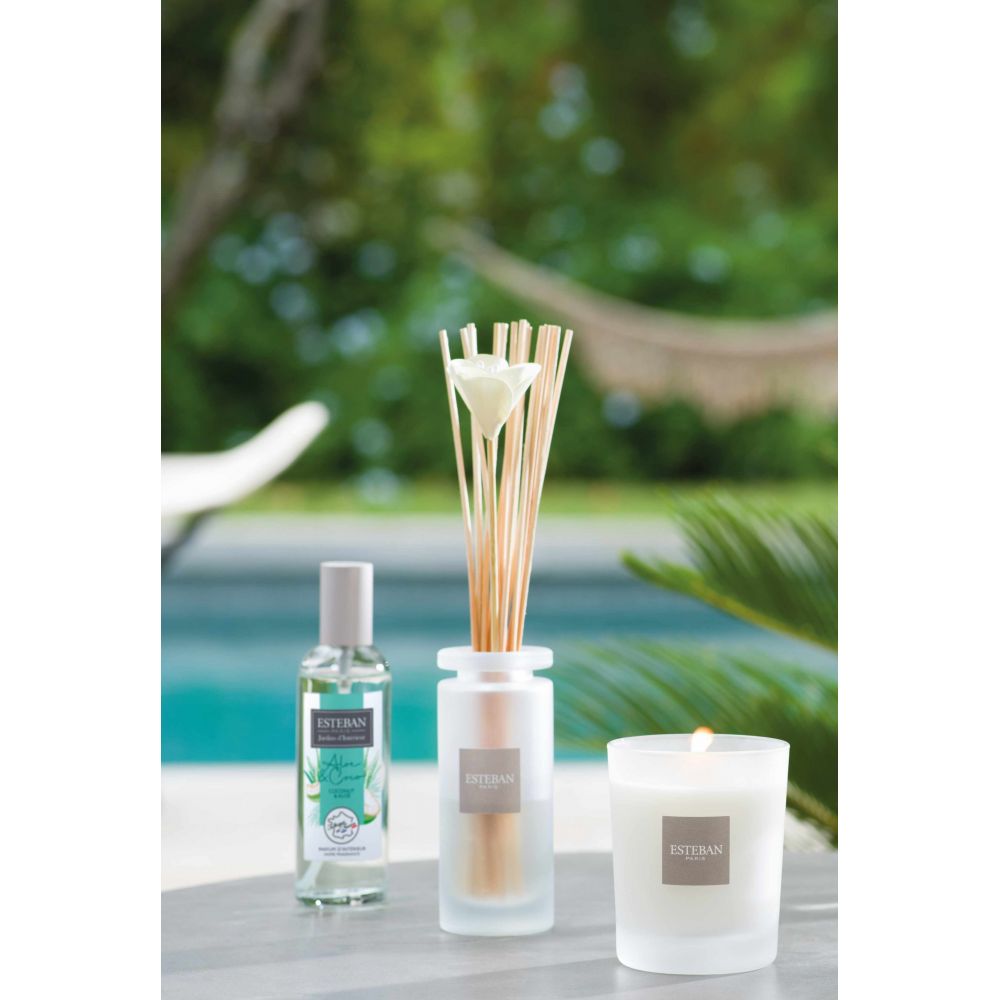 VAPORIZZATORE SPRAY PROFUMATO 100ML ALOE&COCO