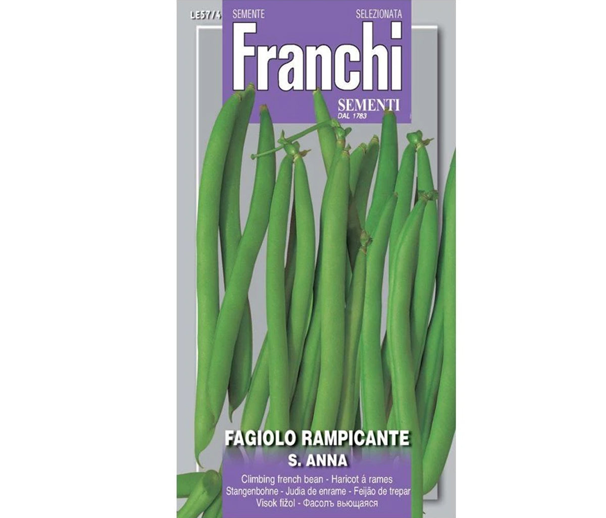 SEMI FAGIOLO RAMPICANTE SANT'ANNA