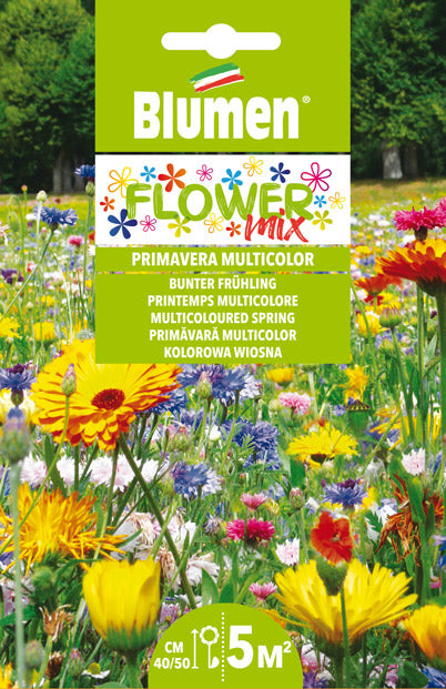 MISCUGLIO DI FIORI PRIMAVERA MULTICOLOR