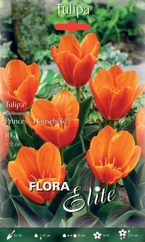 TULIPANO KAUFMANNIANA PRINCESS HOUSEHOLD (CONFEZIONE DA 10 BULBI)