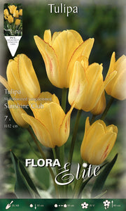 TULIPANO MULTIFIORI SUNSHINE CLUB (CONFEZIONE DA 7 BULBI)