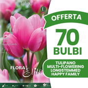 Offerta 70 Bulbi di Tulipano Multi-Flowering Longstemmed Happy Family