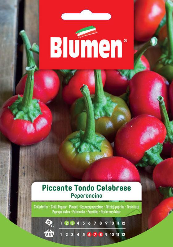 SEMI PEPERONCINO PICCANTE TONDO CALABRESE