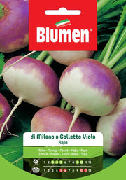 RAPA MILANO COLLETTO VIOLA BLUMEN