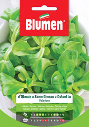 SEMI VALERIANA D’OLANDA A SEME GROSSO O DOLCETTA