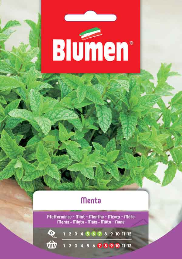 SEMI DI MENTA