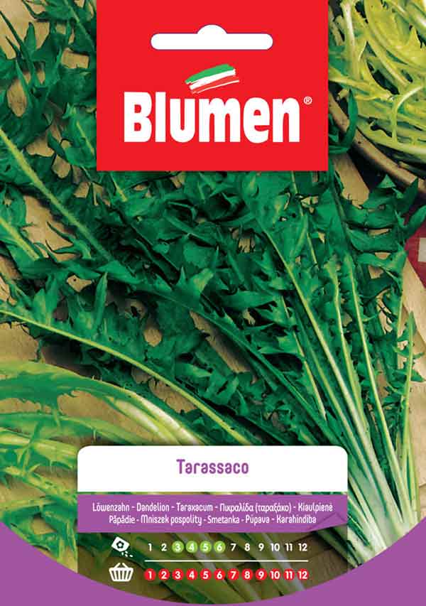 SEMI TARASSACO