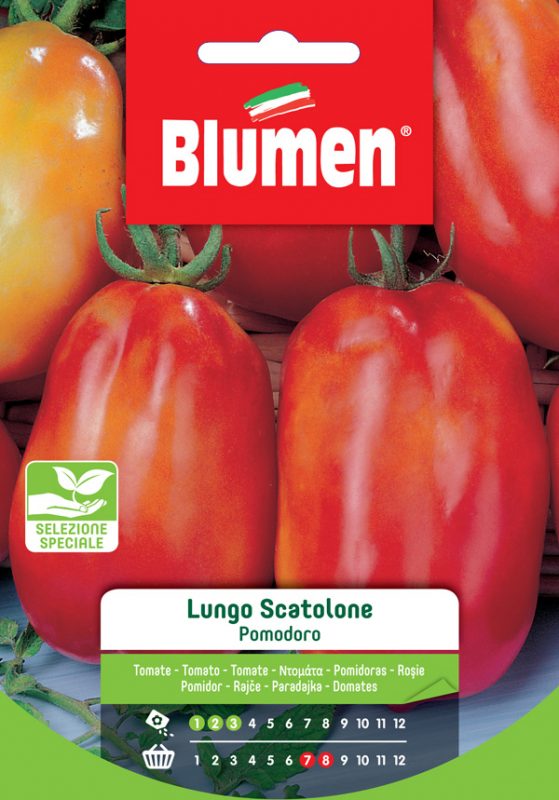 SEMI POMODORO LUNGO SCATOLONE