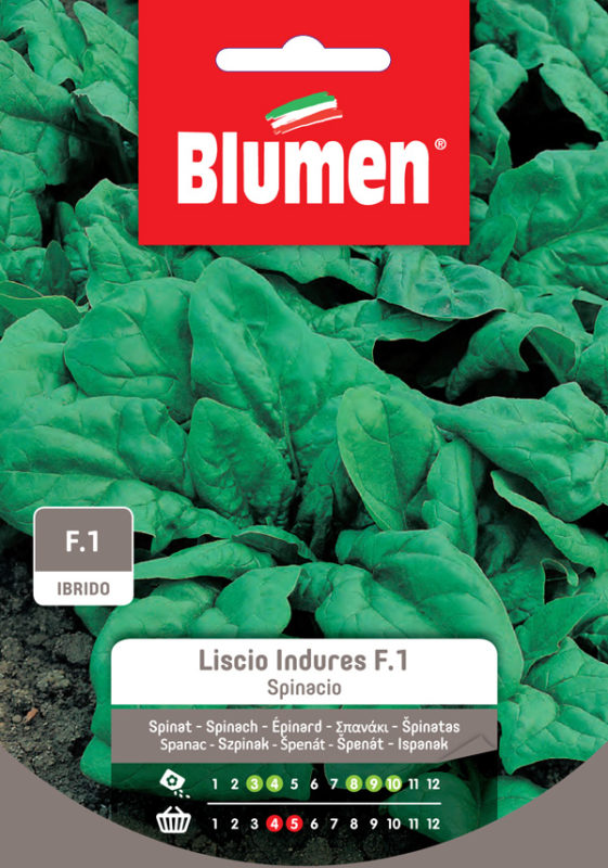 SEMI SPINACIO LISCIO INDURES F.1 BLUMEN