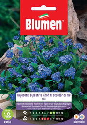 SEMI MYOSOTIS ALPESTRIS O NON TI SCORDAR DI ME