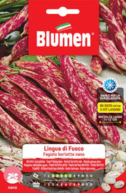 SEMI FAGIOLI BORLOTTI NANI LINGUA DI FUOCO