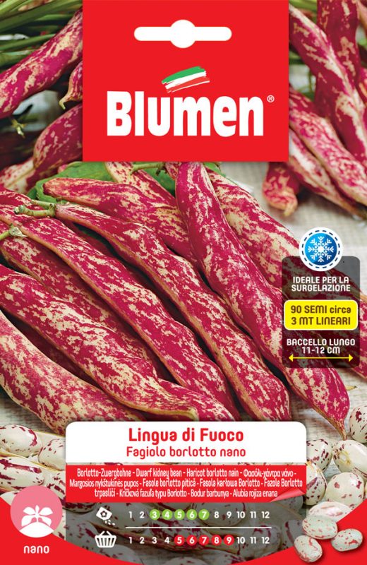 SEMI FAGIOLI BORLOTTI NANI LINGUA DI FUOCO